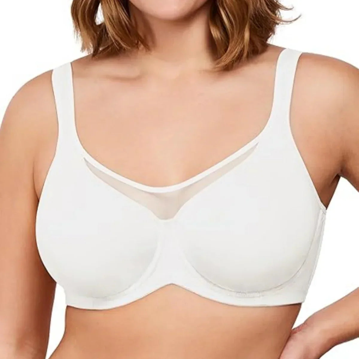 Elegant Sheer Full Coverage Plus Size Bra